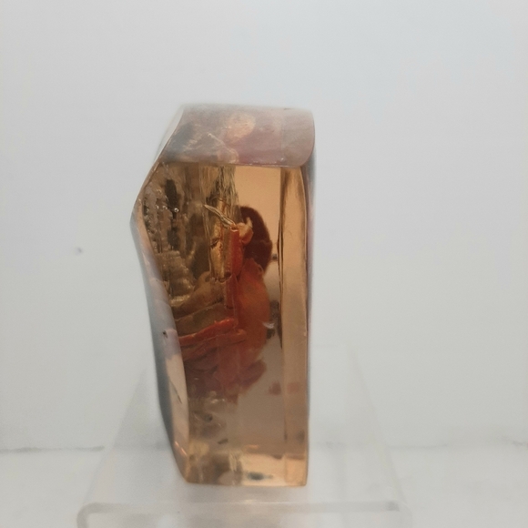 Decorative Resin Art with Crab and Seashells Paperweight. - Picture 3 of 7